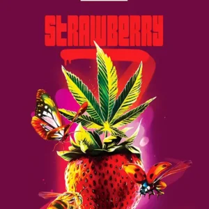 CBD Strawberry